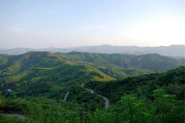 王母观