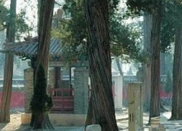 白马庙