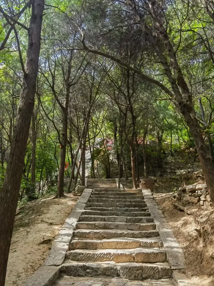 祥龙观