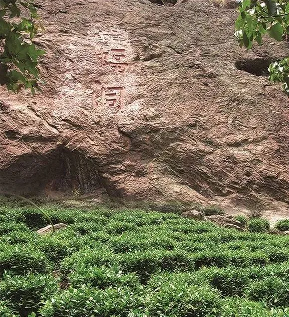 齐头山蝙蝠洞